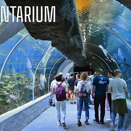 Apartament Lodz4rent - Premium 9,6 - Manufaktura D77 - Parking W Cenie *